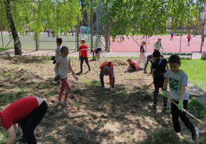 Na zdjęciu uczniowie klasy drugiej przy pracy. Dzieci grabią i uprzątają skopany teren pod łąkę kwietną.